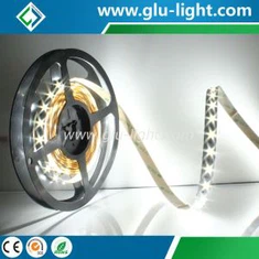 Hoge kwaliteit 24V 60leds/m 2 chips W/ww in 1 5630 CCT ledstrip 3 jaar garantie