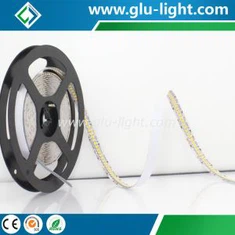DC24V enkele rij hoge dichtheid 10 mm 3528 ledstrip 240 leds / m 3 jaar garantietijd